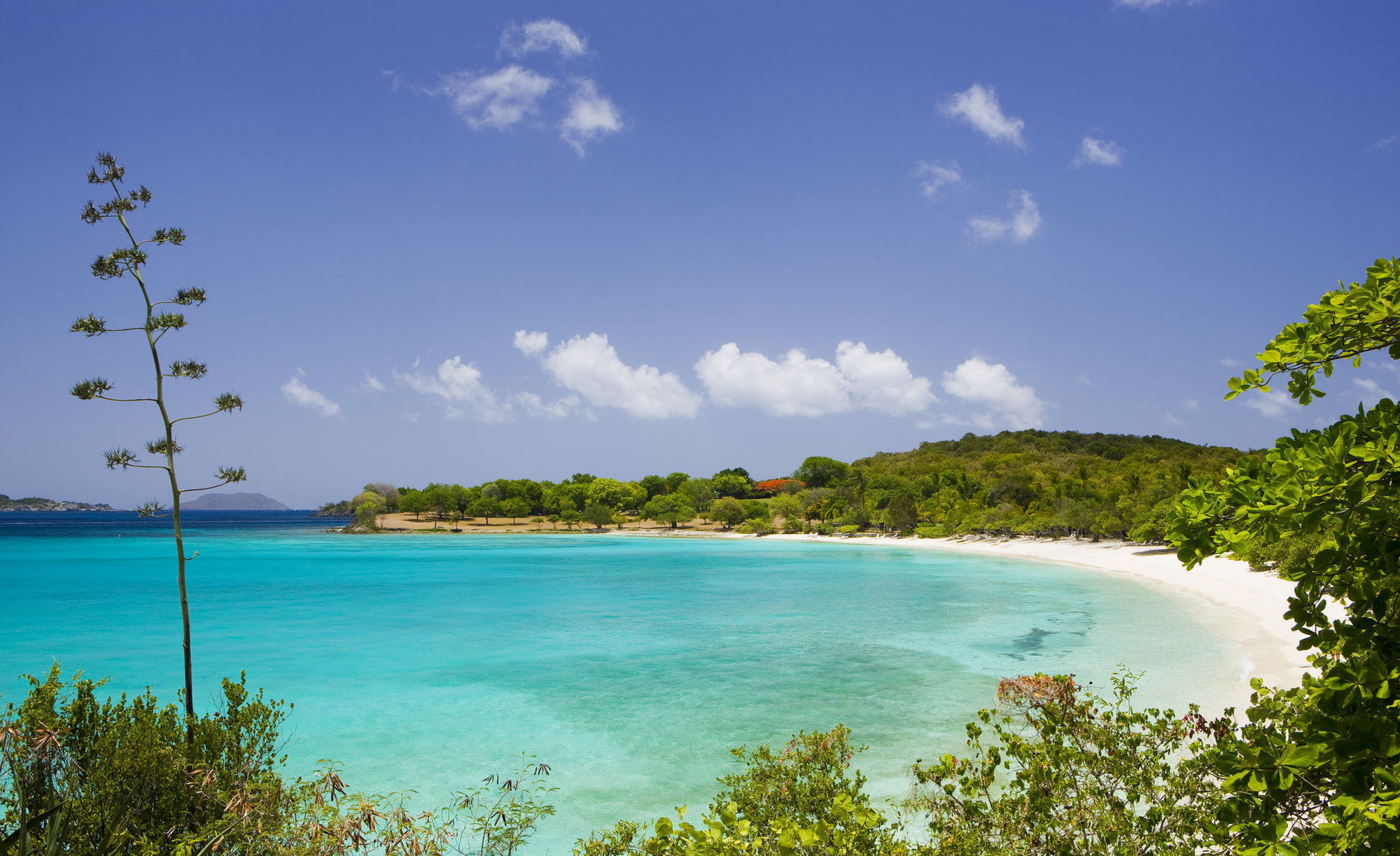 Caneel Bay Resort Cruz Bay Dış mekan fotoğraf