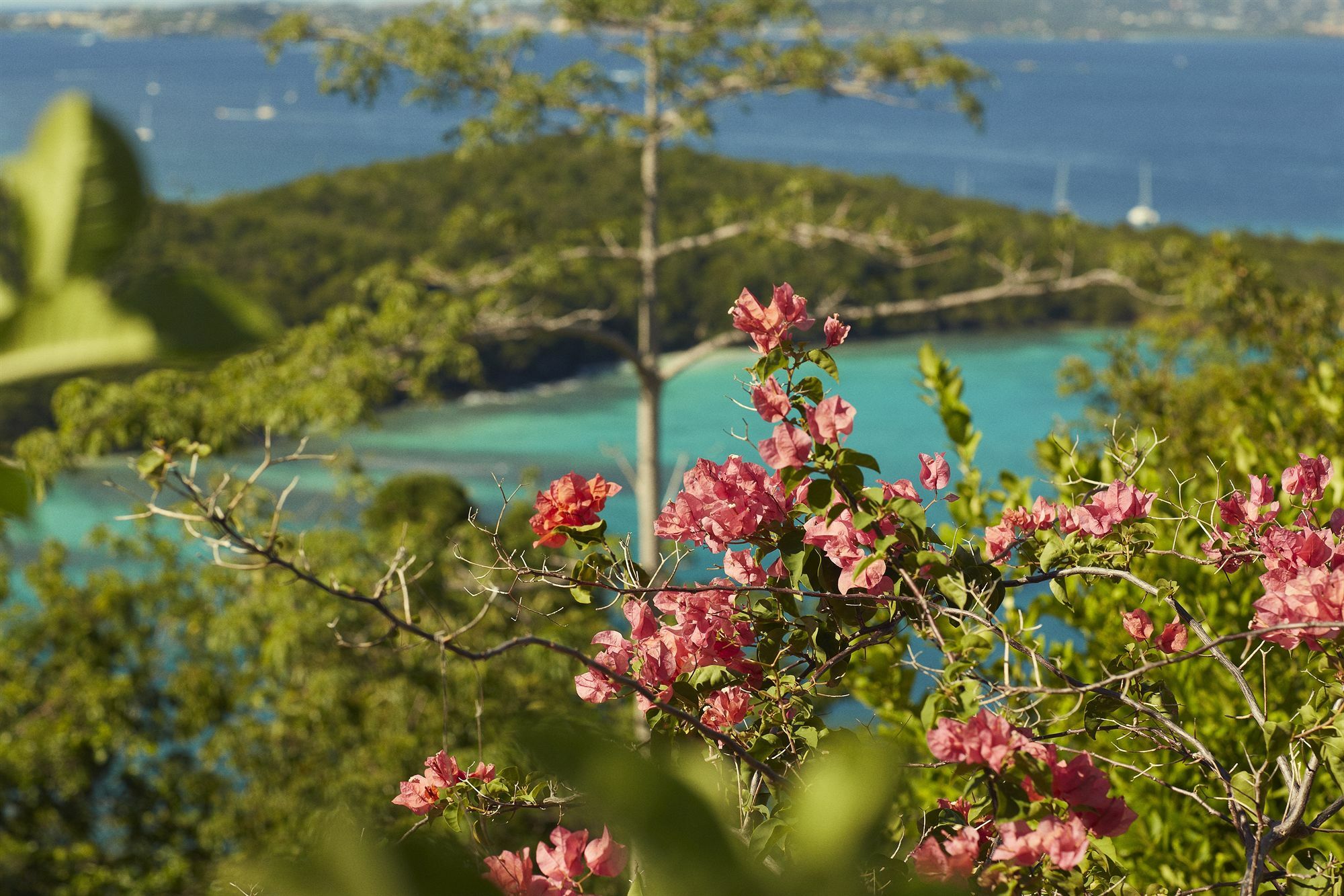 Caneel Bay Resort Cruz Bay Dış mekan fotoğraf
