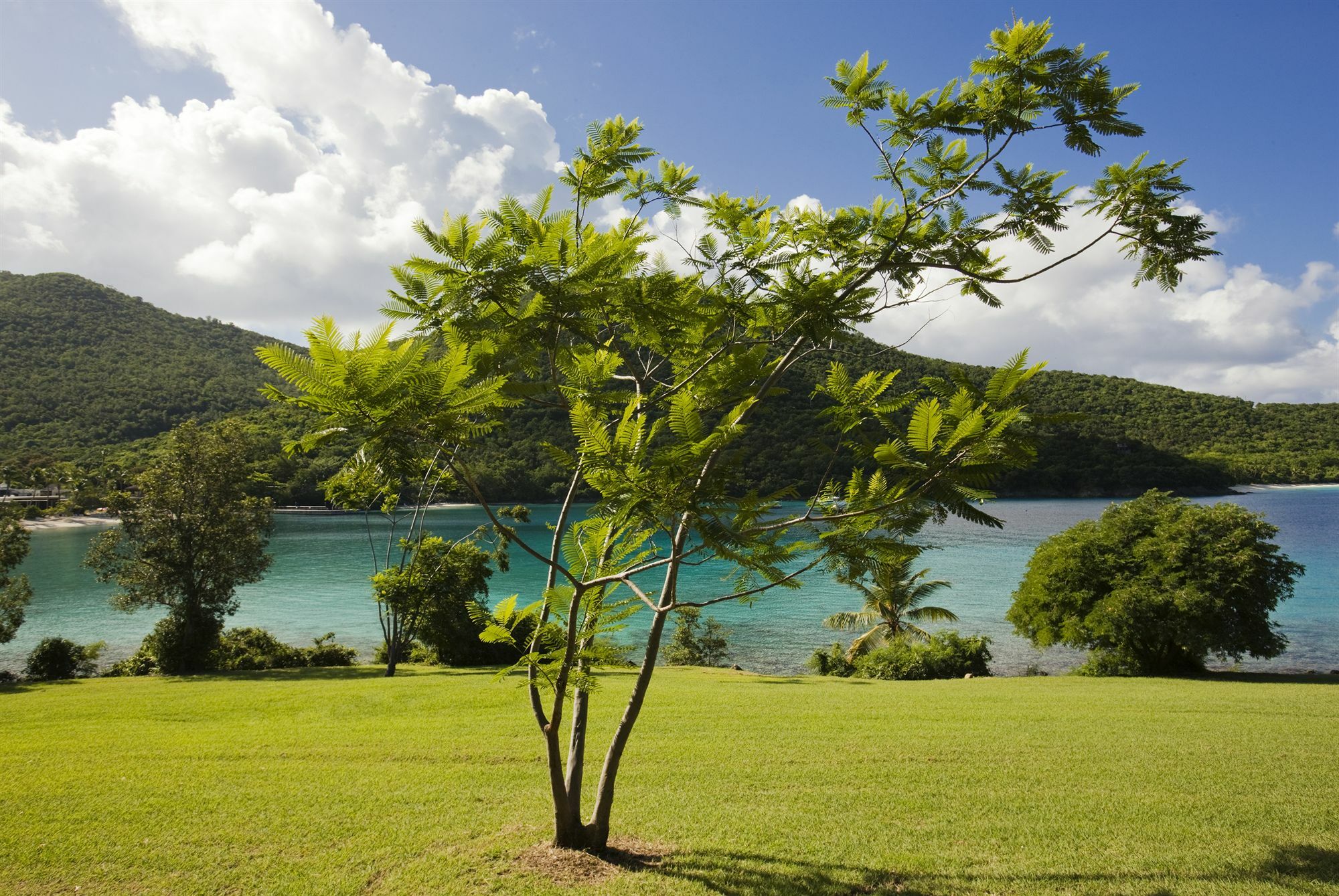 Caneel Bay Resort Cruz Bay Dış mekan fotoğraf